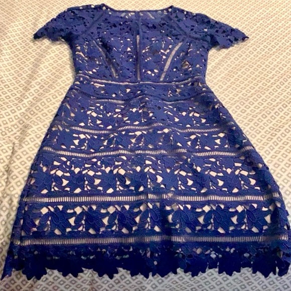 Reiss Orchid Lace Cocktail Dress in Sapphire - Picture 6 of 7